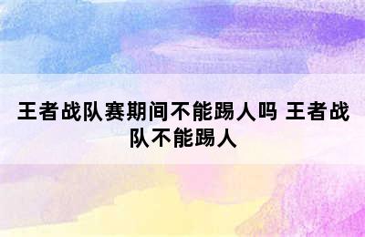 王者战队赛期间不能踢人吗 王者战队不能踢人